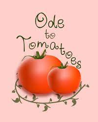 ‘Ode to Tomatoes’ is a wonderful example of a poem that presents a pictorial description of a salad in the making to which a reader can add the more profound meanings culled from American culture.